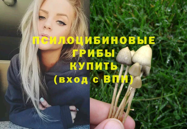 прущие грибы Баксан