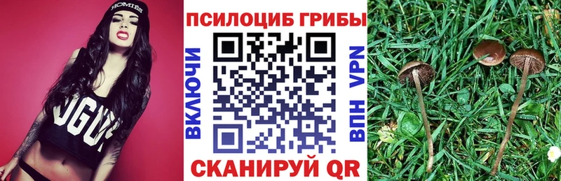 Галлюциногенные грибы Cubensis  Реутов 